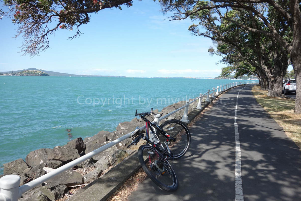 ニュージーランドおすすめサイクリングロード