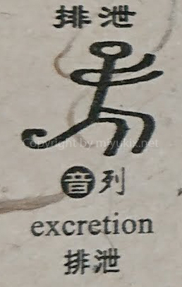 イッテＱにも出た！中国・麗江でトンパ文字のハンコ・印鑑を作ってきた！