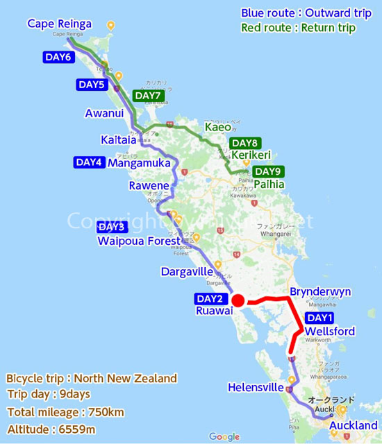ひつじ天国！ニュージーランドの最北へ！30代ＯＬの自転車テントぶらり旅行　6日目～7日目　