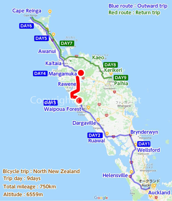ニュージーランドの最北へ！30代ＯＬの自転車テントぶらり旅行　8日目～美しき森と爽やか海と船輪行、そして草むら野宿！～